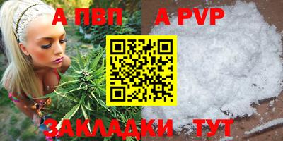 стаф Кандалакша