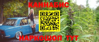 стаф Кандалакша