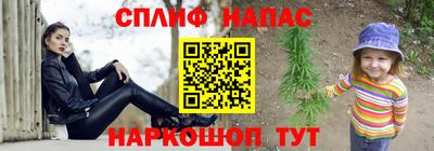 стаф Кандалакша